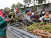 በረገ ኤያት 2ኛ ደረጃ ት/ቤት ቅጥር ግቢ የሀገር በቀል ችግኝ ተከላ መርሀ-ግብር