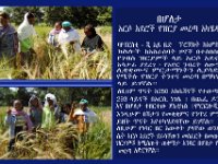 በሆለታ የሚገኙ አርሶ አደሮች በነባር ዘር ላይ  የዘር መረጣና የልምድ ልውውጥ ባደረጉበት ወቅት ጥቅምት  2010 ዓ.ም