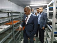 photo 2026-03-30 09-46-20