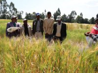 Photos Taken form Holeta (ህዳር 2011)